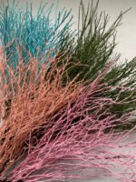 Гілки чорниці рожеві 50 см - Гілки