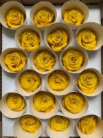 Роза жовта - Роза стабілізована міні 2-3 см