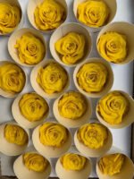 Роза жовта - Роза стабілізована міні 2-3 см