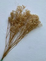 Гіпсофіла натуральна стабілізована, 2 сорт - Інше