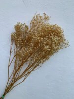 Гіпсофіла натуральна стабілізована, 2 сорт - Інше