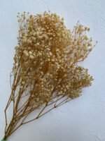 Гіпсофіла натуральна стабілізована, 2 сорт - Інше