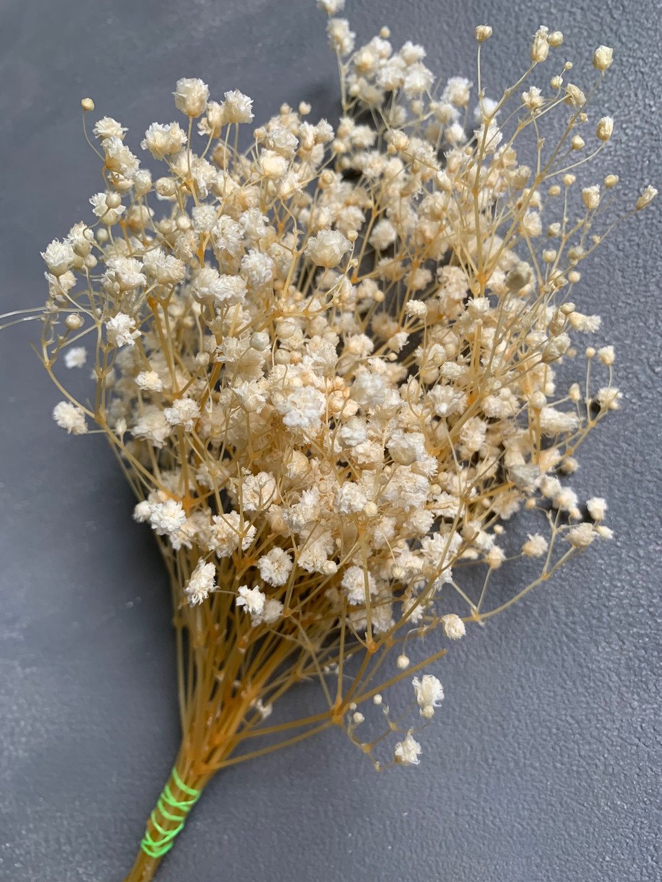 4594021739_gipsofila-stabilizirovannaya-vybelennaya.jpg Гіпсофіла стабілізована вибілена, 15 грам - Гіпсофіла стабілізована