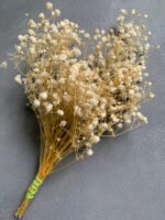 Гіпсофіла стабілізована вибілена, 15 грам - Гіпсофіла стабілізована