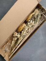 Набір протея крем - Набори для творчості