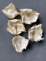 Сухоцвіт Palm Cup вибілений (3 шт) - Інше