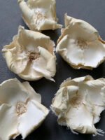 Сухоцвіт Palm Cup вибілений (3 шт) - Інше