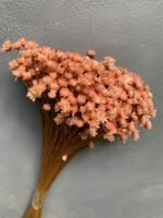 Гліксія лососева (50 гр) - Гліксія