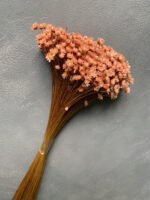 Гліксія лососева (50 гр) - Гліксія