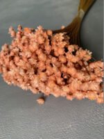 Гліксія лососева (50 гр) - Гліксія