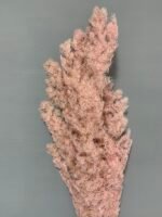 Аспарагус стабілізований світло рожевий ( 80 гр ) - Аспарагус стабілізований