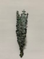 Евкаліпт стабілізований зелений baby blue 25-40 см - Евкаліпт стабілізований