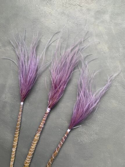 Ковила мілка - Ковила