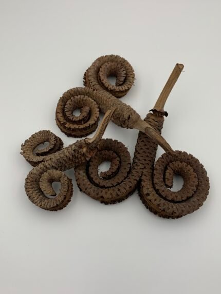 Сухоцвіт Palm Ring ( 12-15 см) 3 шт - Інше