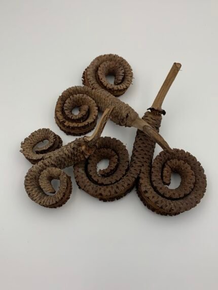 Сухоцвіт Palm Ring ( 12-15 см) 3 шт - Інше