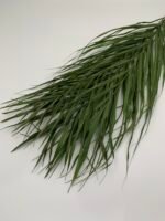 Пальмове листя Cane palm 5 шт - Пальмове листя