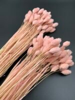 Фаляріс світло рожевий 90 гр - Фаляріс