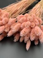 Фаляріс світло рожевий 90 гр - Фаляріс