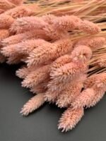 Фаляріс світло рожевий 90 гр - Фаляріс