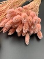 Фаляріс світло рожевий 90 гр - Фаляріс