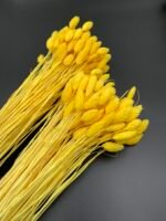 Фаляріс жовтий 90 гр - Фаляріс