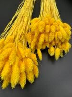 Фаляріс жовтий 90 гр - Фаляріс