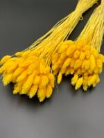 Фаляріс жовтий 90 гр - Фаляріс