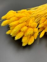 Фаляріс жовтий 90 гр - Фаляріс