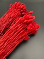 Фаляріс червоний 90 гр - Фаляріс