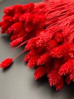 Фаляріс червоний 90 гр - Фаляріс