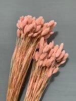 Фаляріс світло рожевий 90 гр - Фаляріс