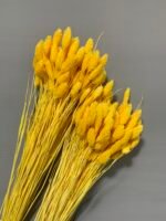 Фаляріс жовтий 90 гр - Фаляріс