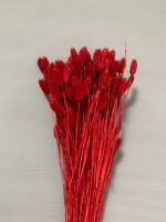 Фаляріс червоний 90 гр - Фаляріс