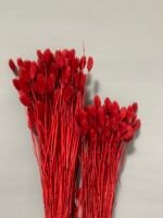 Фаляріс червоний 90 гр - Фаляріс