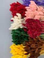 Фаляріс світло рожевий 90 гр - Фаляріс