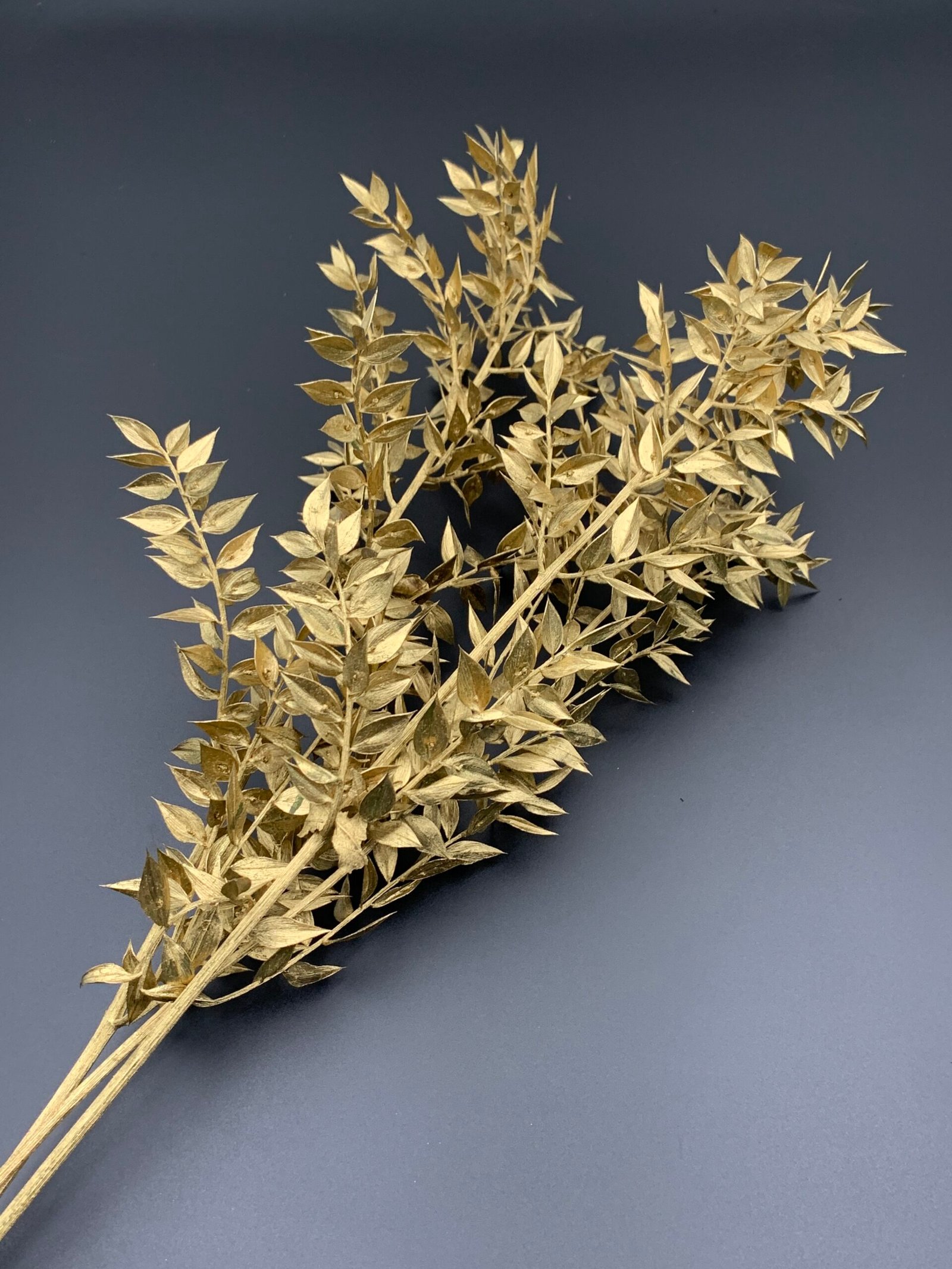 Рускус сухий золото 3 гілки - Рускус стабілізований Рускус сухий золото 3 гілки - Рускус стабілізований