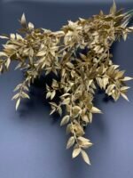 Рускус сухий золото 3 гілки - Рускус стабілізований