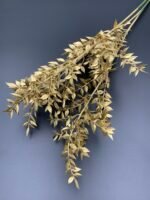 Рускус сухий золото 3 гілки - Рускус стабілізований