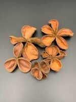 Квітка лотоса ( 5 шт ) - Лотос