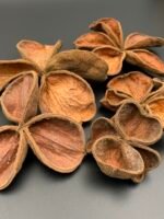 Квітка лотоса ( 5 шт ) - Лотос