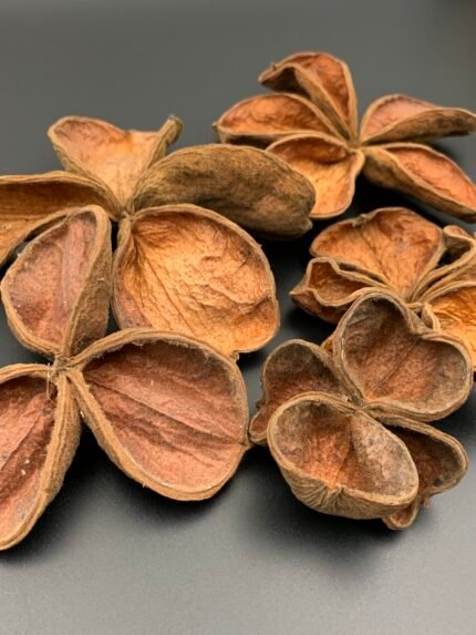 Квітка лотоса ( 5 шт ) - Лотос