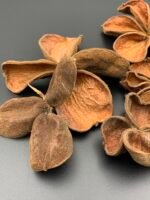 Квітка лотоса ( 5 шт ) - Лотос