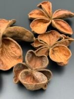 Квітка лотоса ( 5 шт ) - Лотос