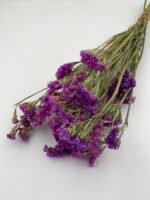 Статиця фіолетова сухоцвіт ( 10 гілок ) - Статиця