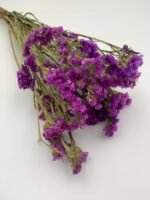 Статиця фіолетова сухоцвіт ( 10 гілок ) - Статиця