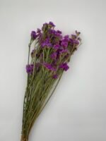 Статиця фіолетова сухоцвіт ( 10 гілок ) - Статиця