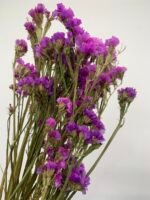 Статиця фіолетова сухоцвіт ( 10 гілок ) - Статиця