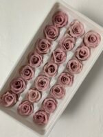 Роза міні рожева антична - Роза стабілізована міні 2-3 см
