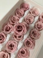 Роза міні рожева антична - Роза стабілізована міні 2-3 см