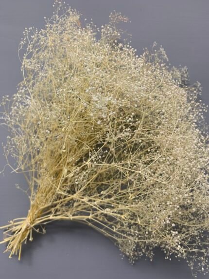 Гіпсофіла міні вибілена суха 45 г - Інше